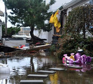 Natural Disaster